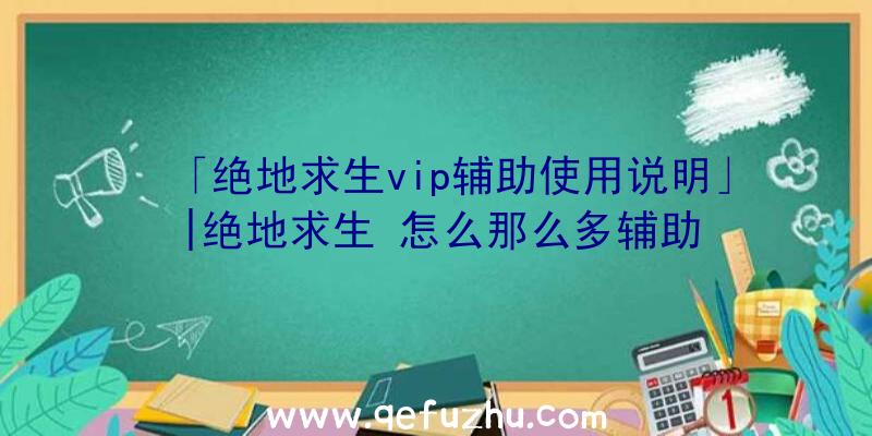 「绝地求生vip辅助使用说明」|绝地求生